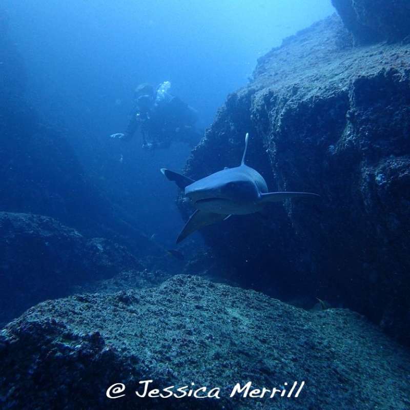 The Sea of Cortez