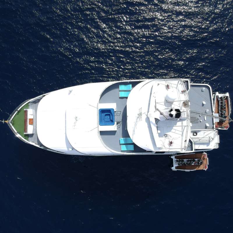 Aruna Voyager