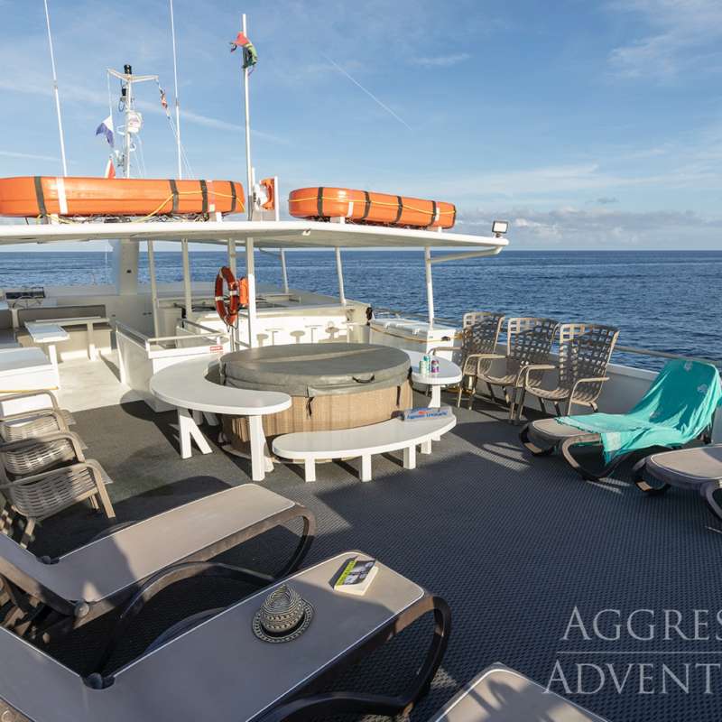 Bahamas Aggressor