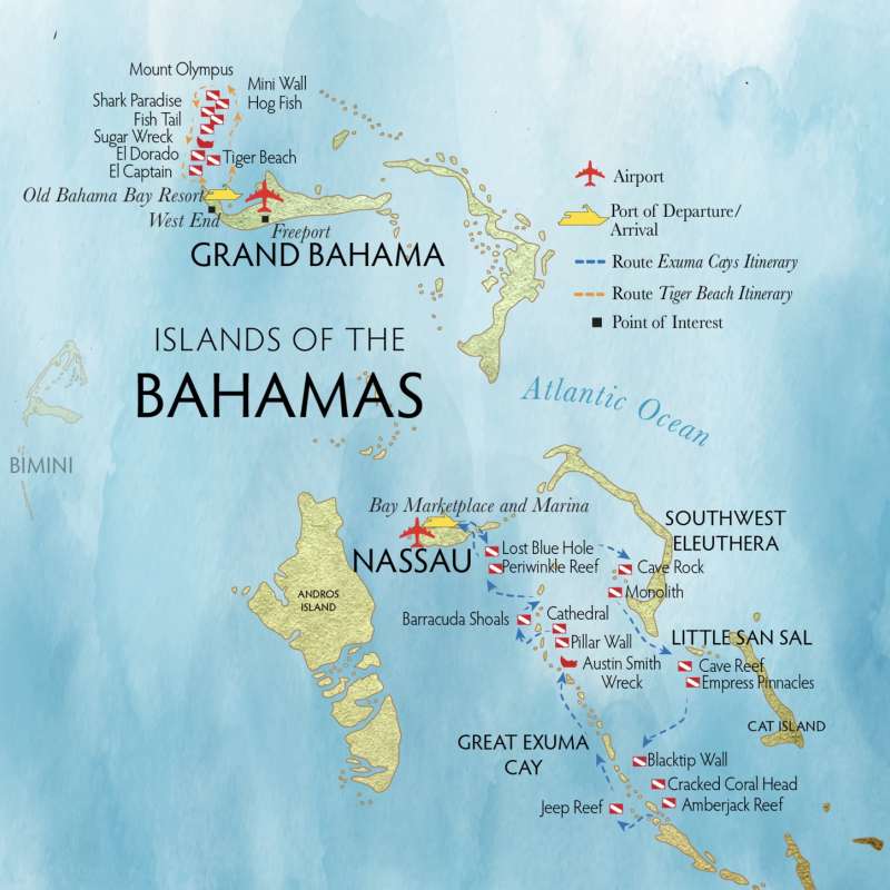 Bahamas Aggressor