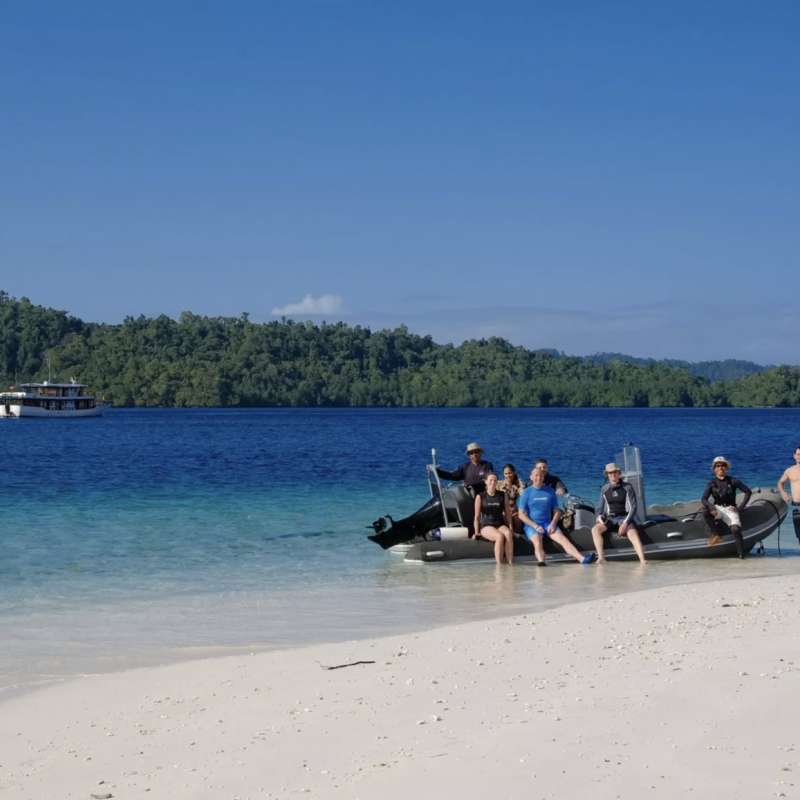Bajau