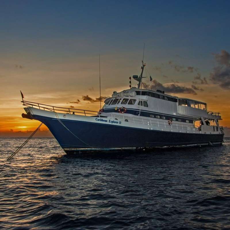 Caribbean Explorer 2