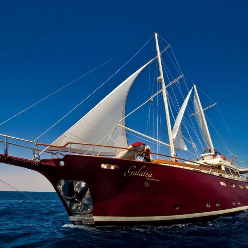 Galatea