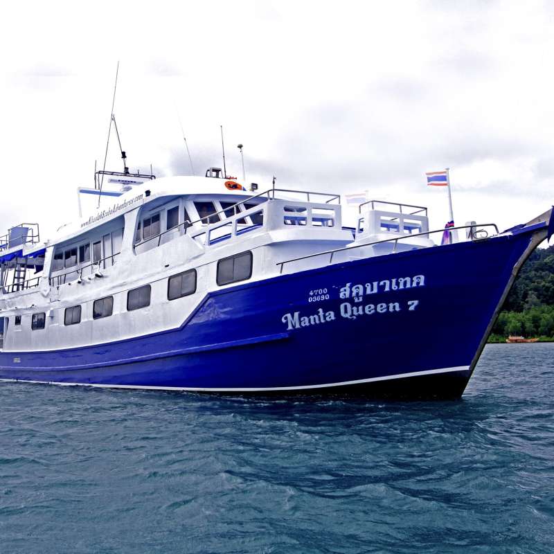 Manta Queen 7
