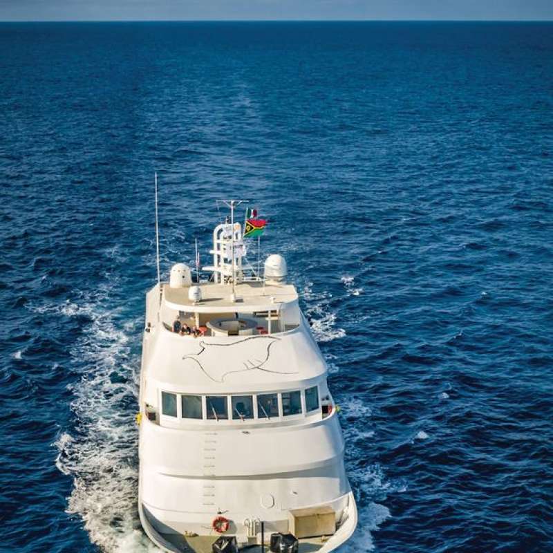 Nautilus Belle Amie