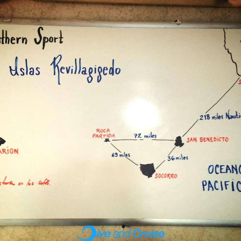Southern Sport